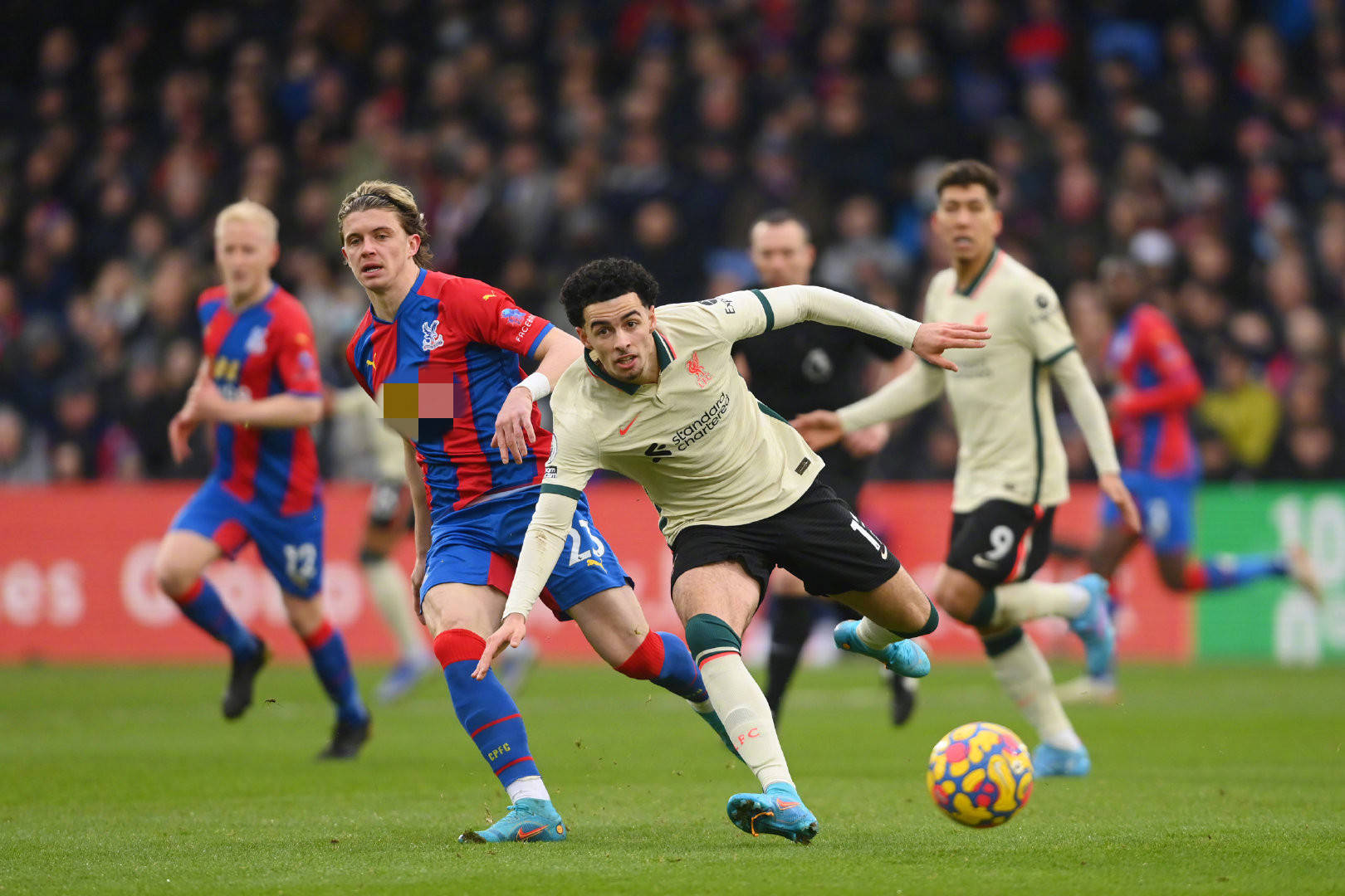 冉升起的新 冉升起的新